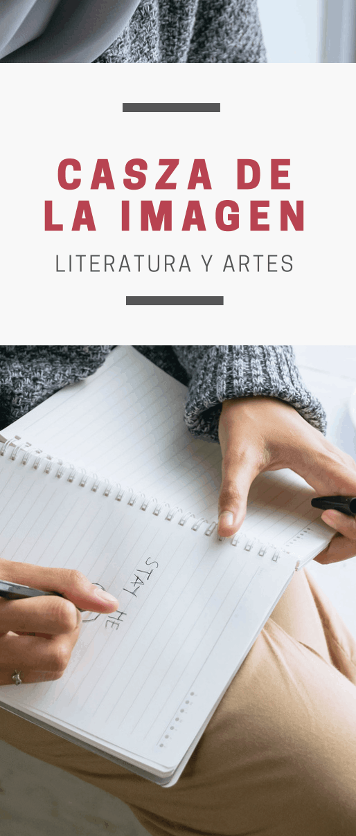 Portafolio de servicios